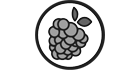 raspberryIO logo